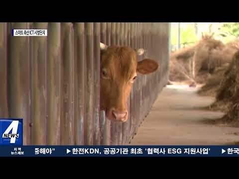 평창, 스마트 축산 농어촌공사 업무협약 체결