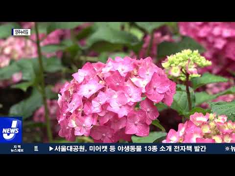 양산시, 양주누리길 환경개선 사업 완료