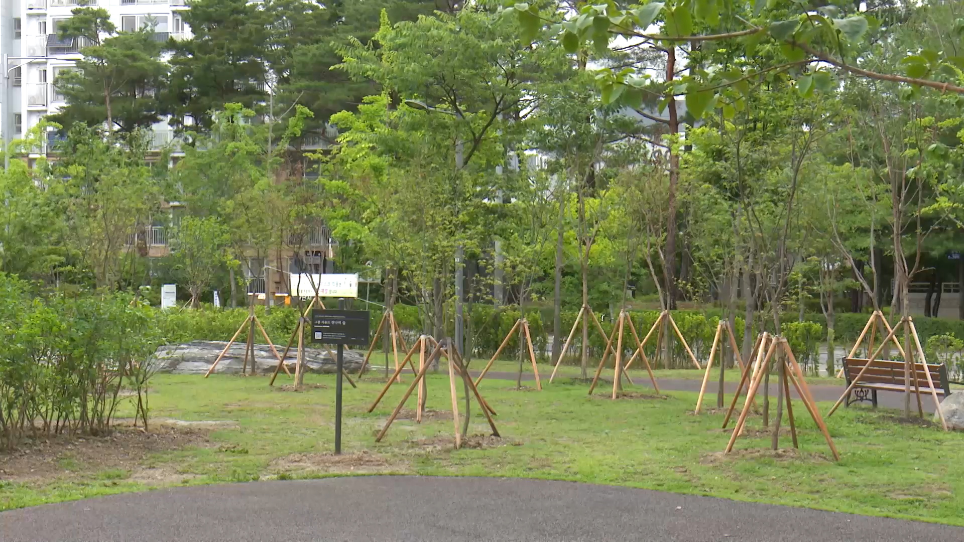 마포구, ‘500만 그루 나무   심기’ 43% 목표 달성