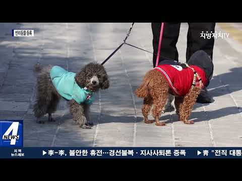 동물등록 자진신고 및 집중 단속 기간 운영