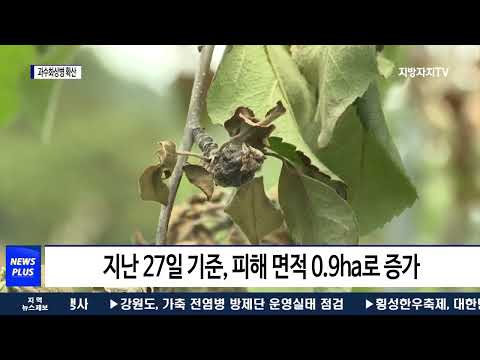 충북 과수화상병 확산 우려…초기 대응 강화