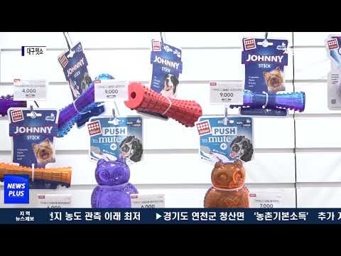 대구시, 대구 펫쇼 개최