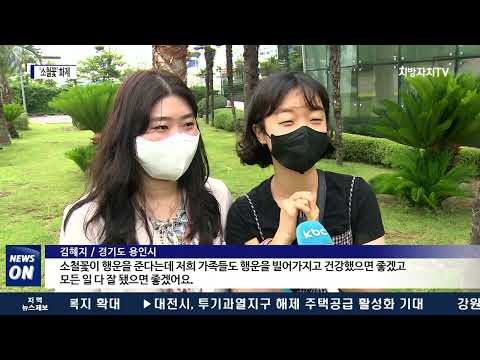 100년에 한 번 핀다는 ‘소철꽃’ 화제