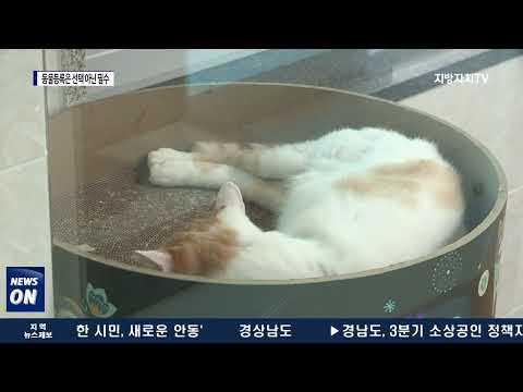 대전시, 반려동물등록 자진신고 기간 운영