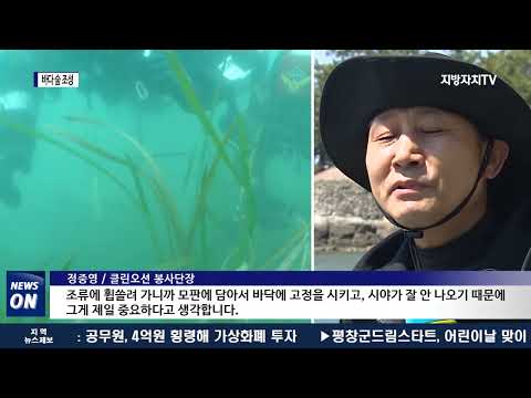 “바다에에 숲을 조성하자”