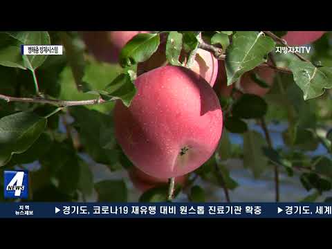 평창군, 사과 과원에 원격 병해충 방제시스템 도입