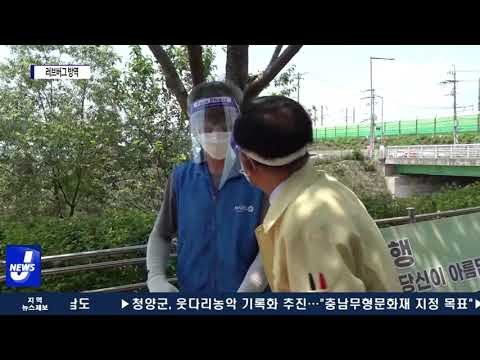 마포구, 러브버그 대응 위한 ‘선제적 긴급 방역’