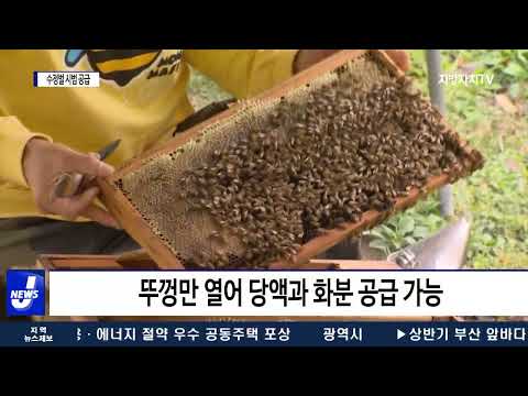 횡성군, 화분 매개 전용 벌통 활용 수정벌 시범 공급