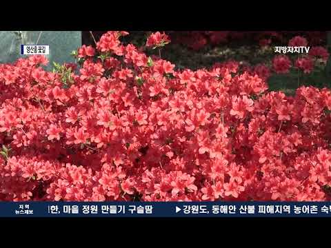 대구시, 영산홍 꽃길 개방 및 환경교육 실시