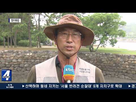 여수 가막만 ‘청정해역’…멸치 떼죽음