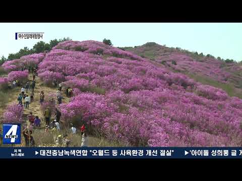 여수시, ‘여수진달래체험행사’ 취소