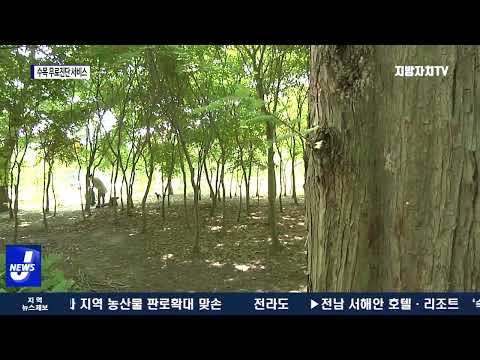 대전시. 수목 무료진단 서비스 제공
