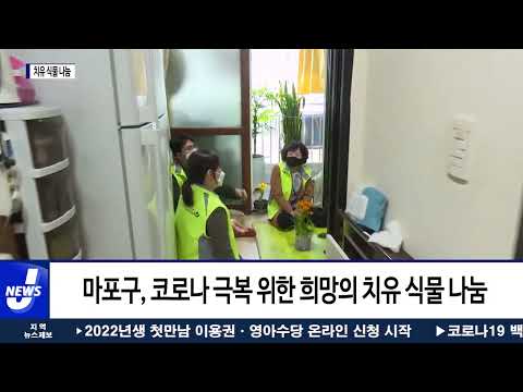 마포구, 코로나 장기화로 치유 식물 나눔