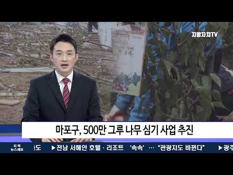 마포구, 500만 그루 나무심기 사업 추진