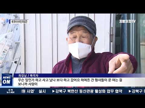 투자 사기 세 모녀 차 안 쓰러진 채 발견