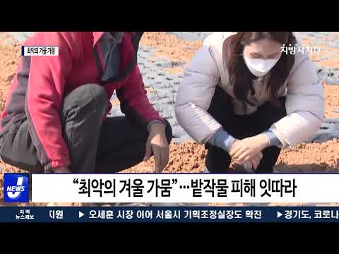 최악의 겨울 가뭄…밭작물 피해 잇따라