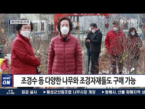 횡성군산림조합 나무시장 개장