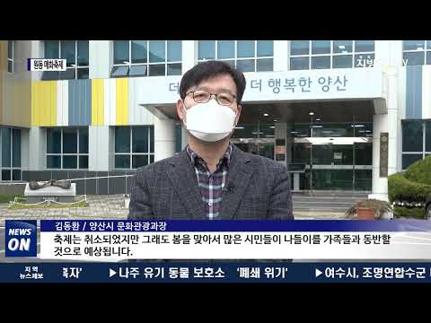 양산, 원동 매화축제 코로나로 취소