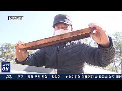 “꽃 피기 전 벌통 채워야 하는데” 사라진 꿀벌