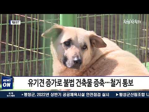 나주 유기 동물 보호소 ‘폐쇄 위기’