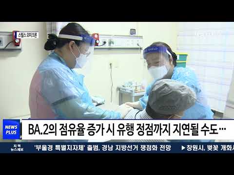 스텔스 오미크론 검출률 국내 26.3→41.4%