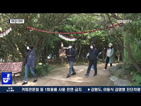 동백 물들인 여순사건…진실도 밝혀지기를