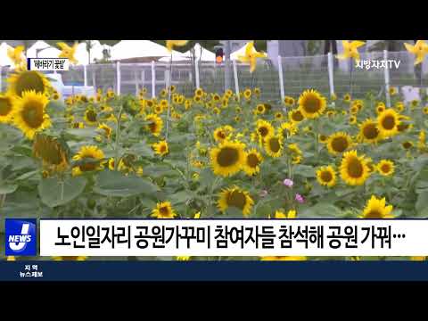 여수세계박람회재단, ‘해바라기 꽃 밭’ 개방