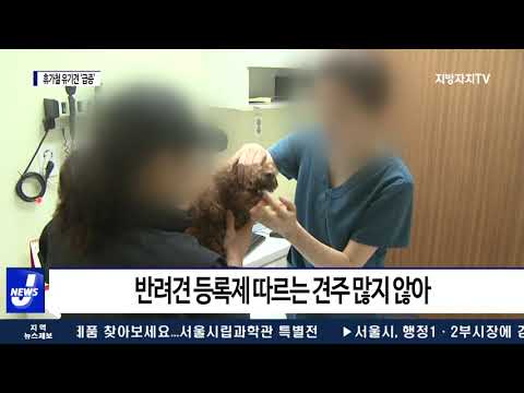 코로나19 대응…“文 정부가 더 잘했다”