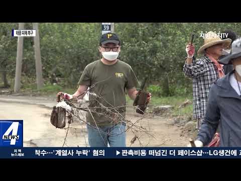 포항시, 태풍으로 도로 등 곳곳에서 피해 속출