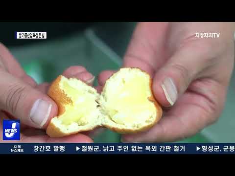 ‘쌀값 하락·소비부진’, 가공식품으로 돌파