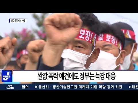 ‘폭락하는 쌀값’ 논 갈아엎은 성난 농심