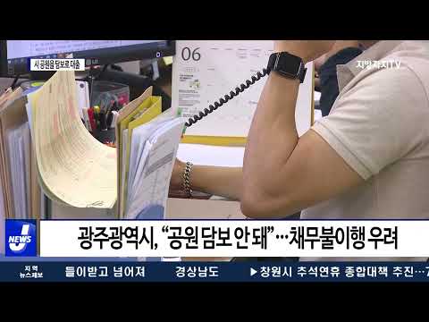 “시유지 공원을 담보로 사업자금 대출”