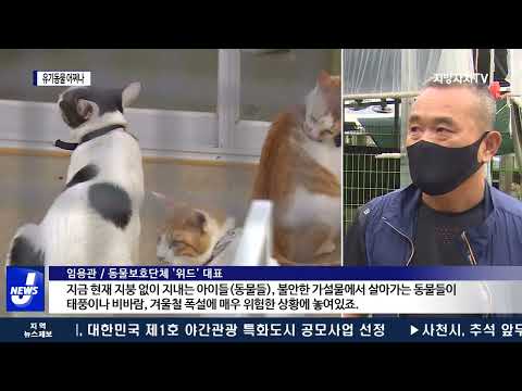 동물보호소 불법증축 철거, 유기동물 어쩌나