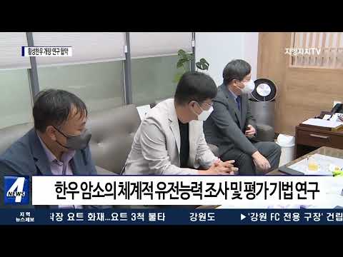 횡성군-강원대, 차세대 횡성한우 개량 연구 협약