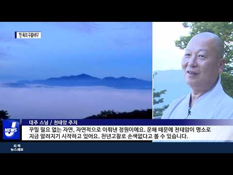 ‘한 폭의 구름바다’ 곡성 천태암