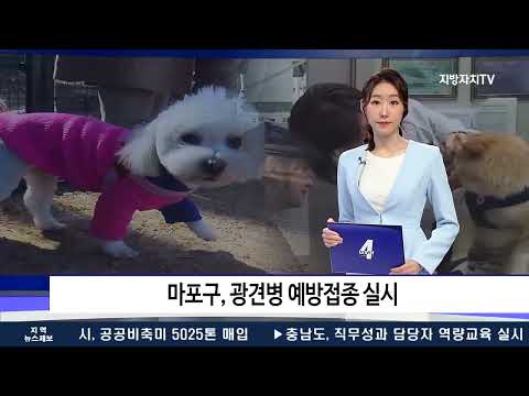 마포구, 광견병 예방접종 실시