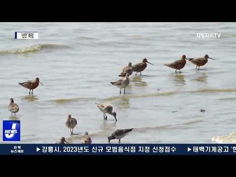 갯벌 세계자연유산 보전본부 ‘신안’ 유치 확정