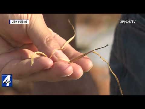 극심한 ‘가뭄’ 밭작물 비상…농업용수 ‘바닥’