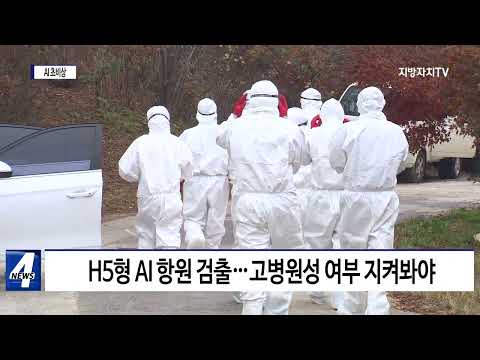 나주 AI 검출…국내 최대 오리 생산지역 ‘초비상’