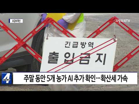 고병원성 AI 확산…한파까지 겹쳐 ‘비상’