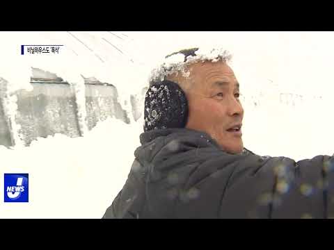 비닐하우스 29동 파손…“눈 그치면 더 늘어날 듯”