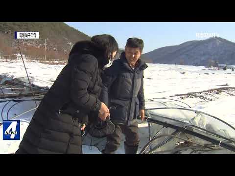 폭설에 꺽인 농심…피해 복구 ‘막막’