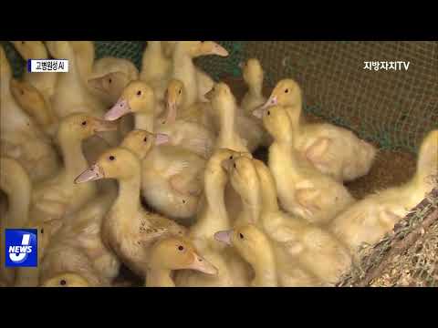 충북도, 고병원성 AI 방역 강화