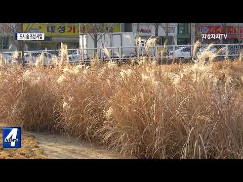 대구시, 탄소중립 실현 위한 사업 추진