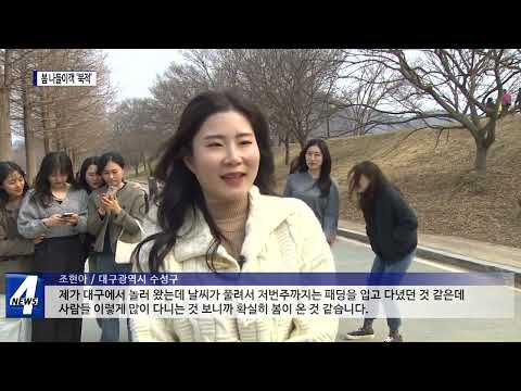 남도에 봄 기운 성큼…나들이객 ‘북적’