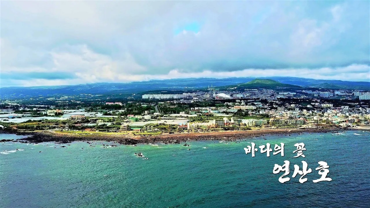 바다의 꽃,제주연안연산호군락