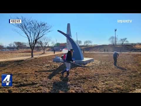 충북도, 미호강 둔치…유채꽃밭으로 탈바꿈