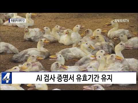 충북도, 특별방역 대책 기간 연장