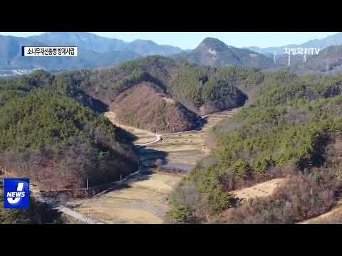 횡성군, ‘소나무재선충병 방제사업’ 시행