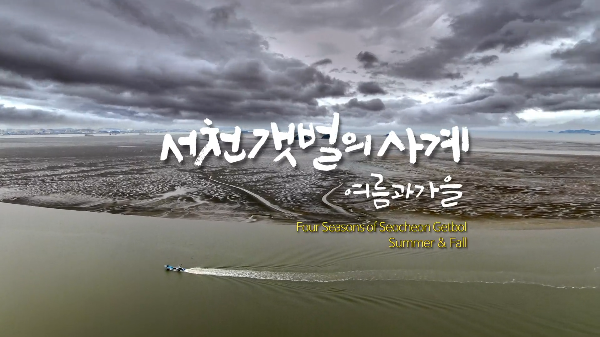 서천 갯벌의 사계